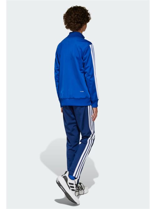 j 3s tiberio ts ADIDAS | JC7518ROYBLU WHT